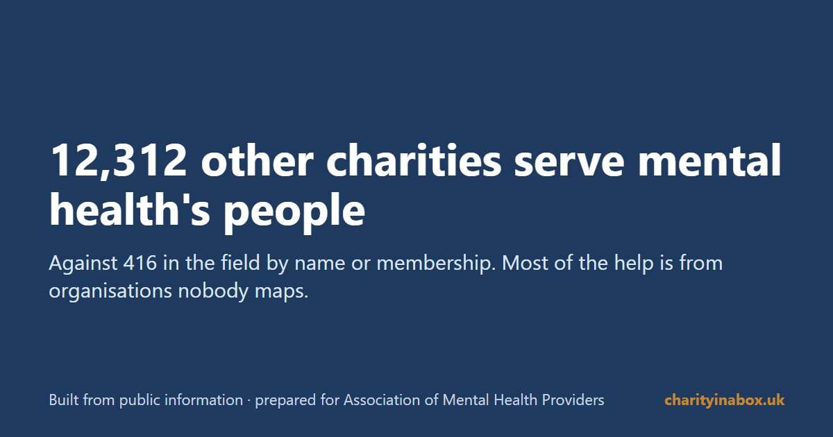 12,312 other charities serve mental health's people