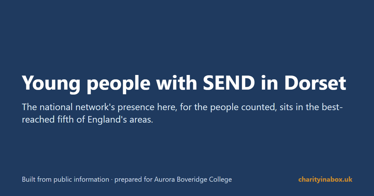 Young people with SEND in Dorset