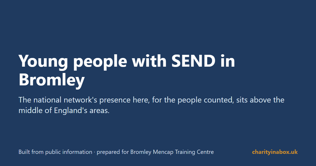 Young people with SEND in Bromley