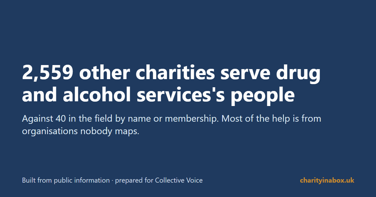 2,559 other charities serve drug and alcohol services's people