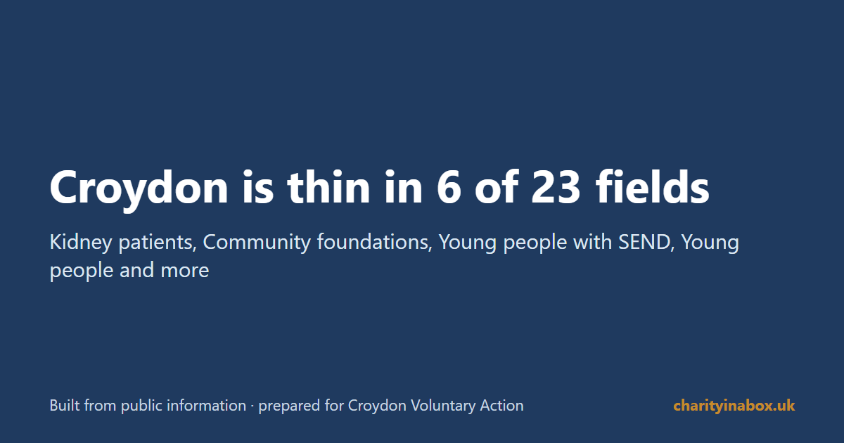 Croydon is thin in 6 of 23 fields