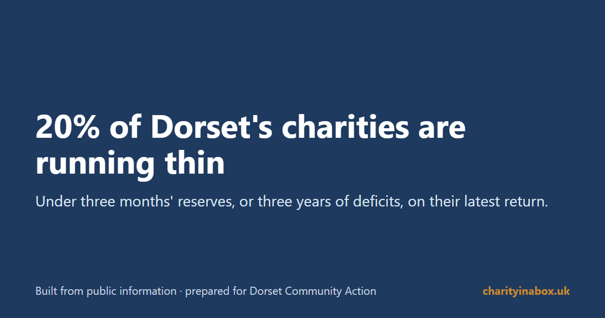 20% of Dorset's charities are running thin