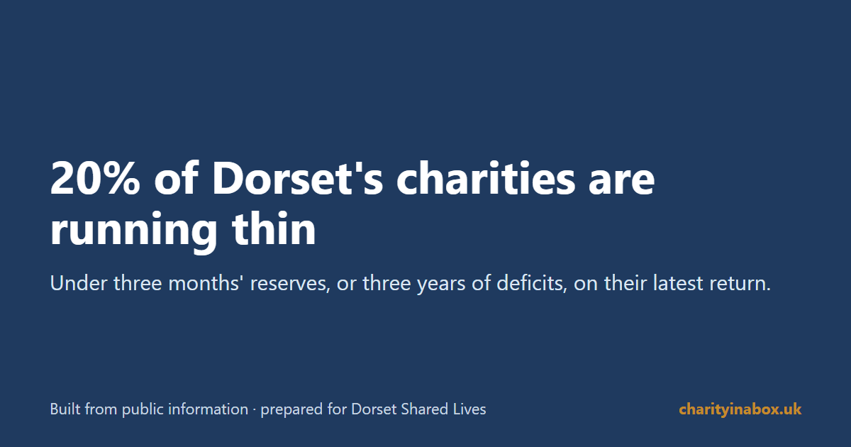 20% of Dorset's charities are running thin