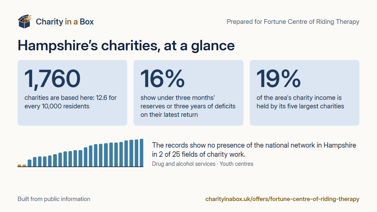 Hampshire's charities at a glance. 1,760 charities are based here: 12.6 for every 10,000 residents. 16% show under three months' reserves or three years of deficits on their latest return. 19% of the area's charity income is held by its five largest charities. The records show no presence of the national network in Hampshire in 2 of 25 fields of charity work.