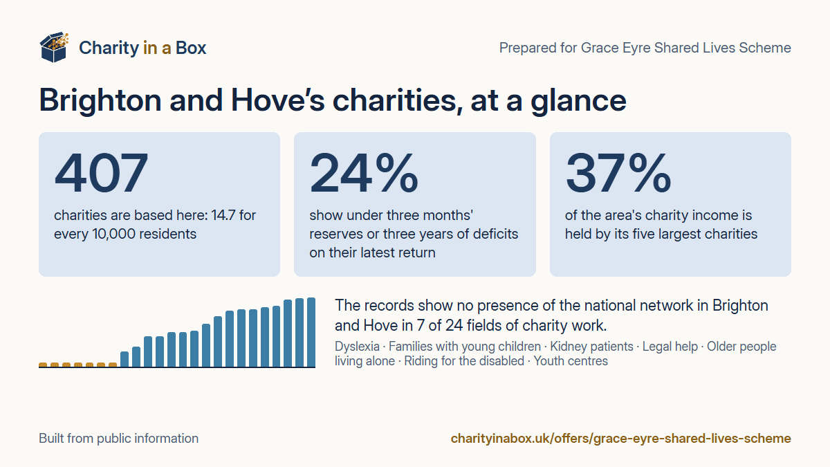 Brighton and Hove's charities at a glance. 407 charities are based here: 14.7 for every 10,000 residents. 24% show under three months' reserves or three years of deficits on their latest return. 37% of the area's charity income is held by its five largest charities. The records show no presence of the national network in Brighton and Hove in 7 of 24 fields of charity work.