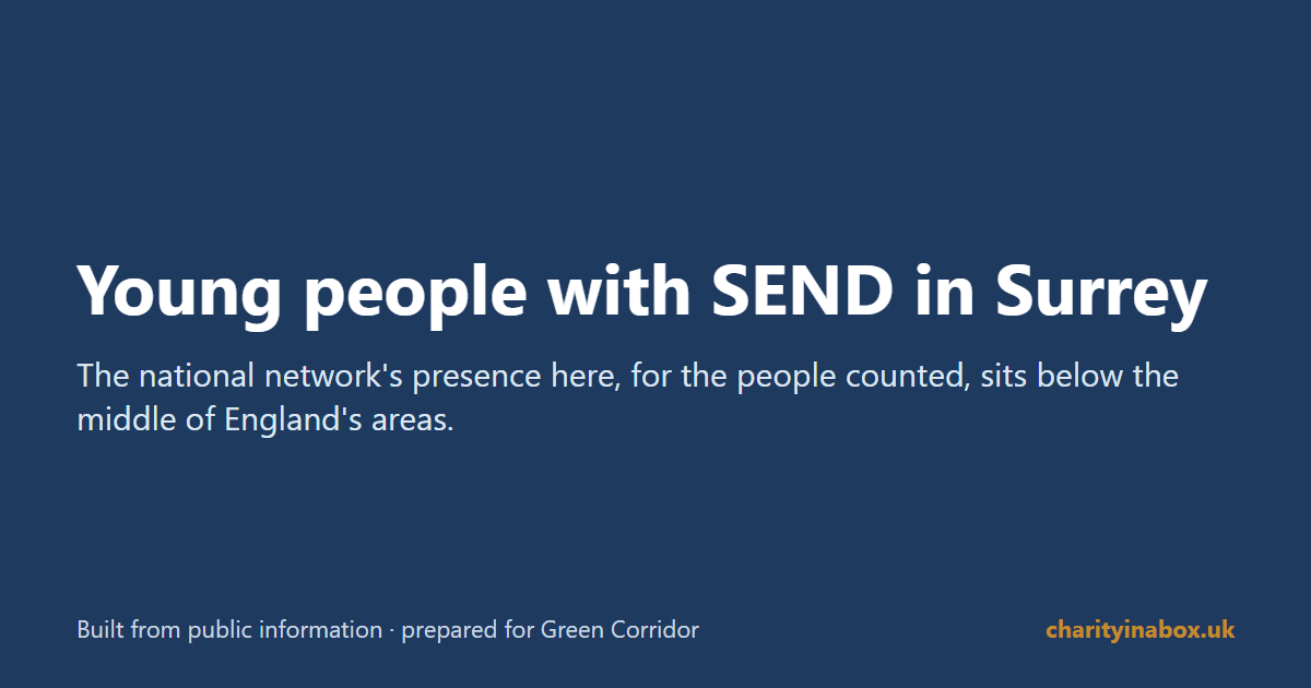 Young people with SEND in Surrey