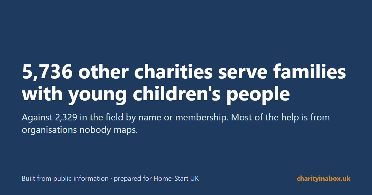 5,736 other charities serve families with young children's people