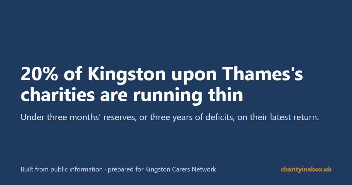 20% of Kingston upon Thames's charities are running thin