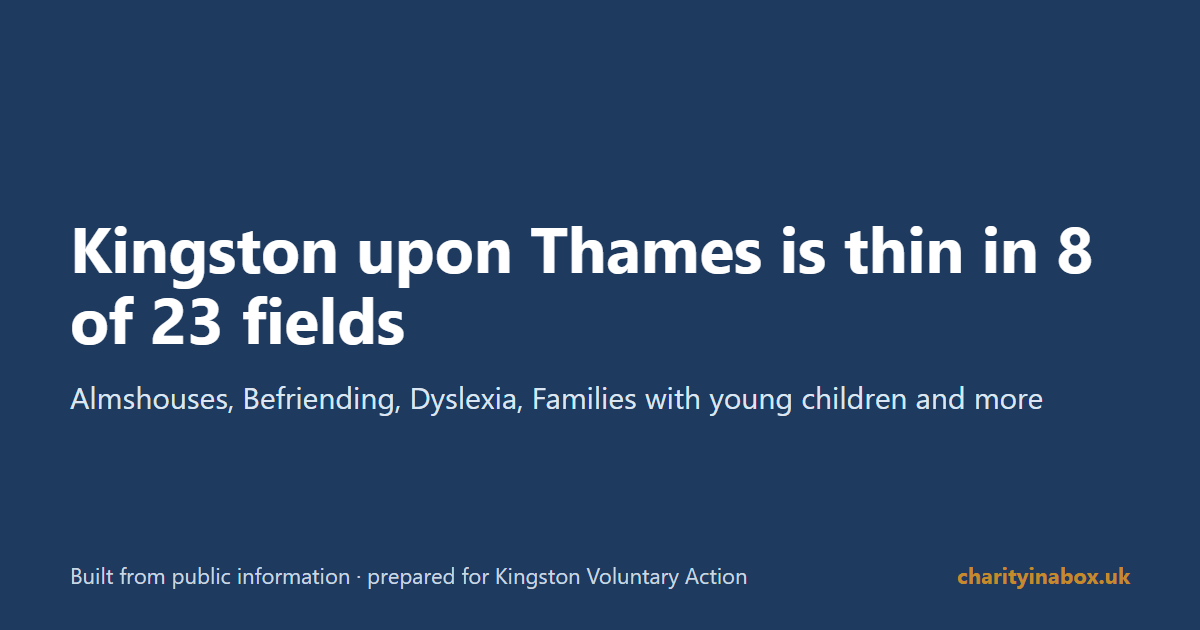 Kingston upon Thames is thin in 8 of 23 fields