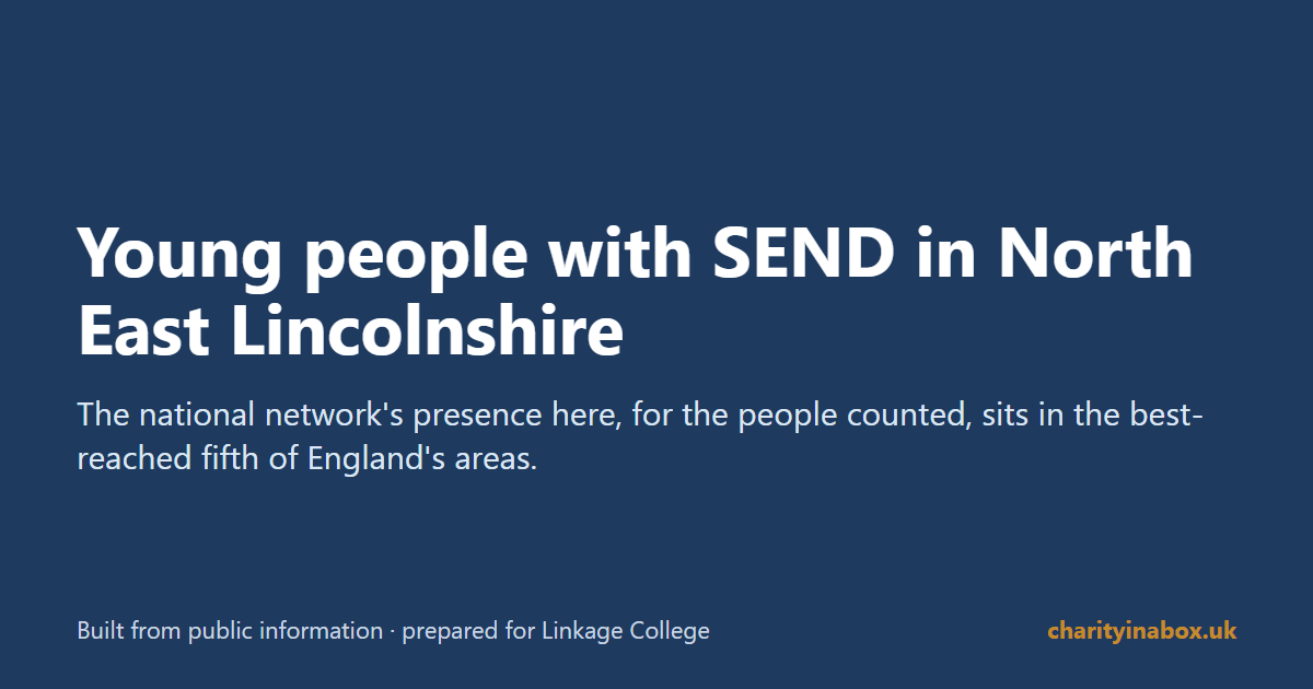 Young people with SEND in North East Lincolnshire