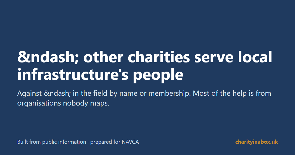 &ndash; other charities serve local infrastructure's people