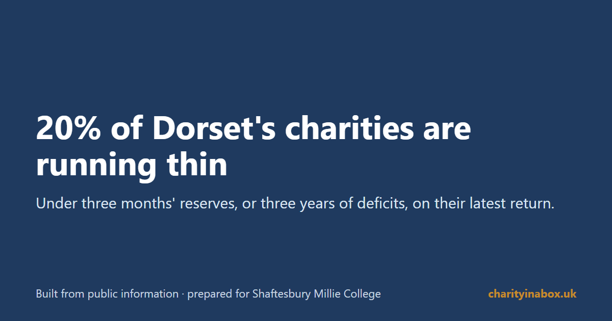 20% of Dorset's charities are running thin