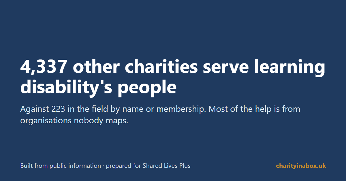 4,337 other charities serve learning disability's people