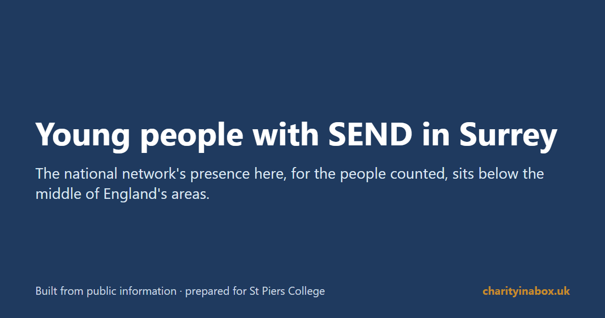 Young people with SEND in Surrey