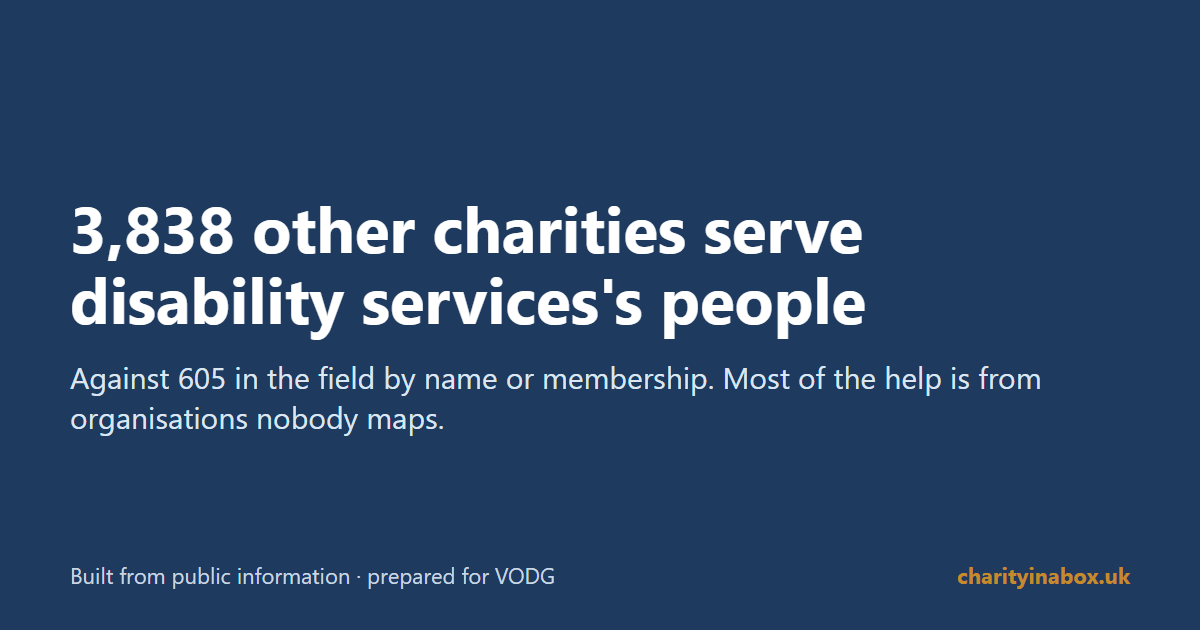 3,838 other charities serve disability services's people