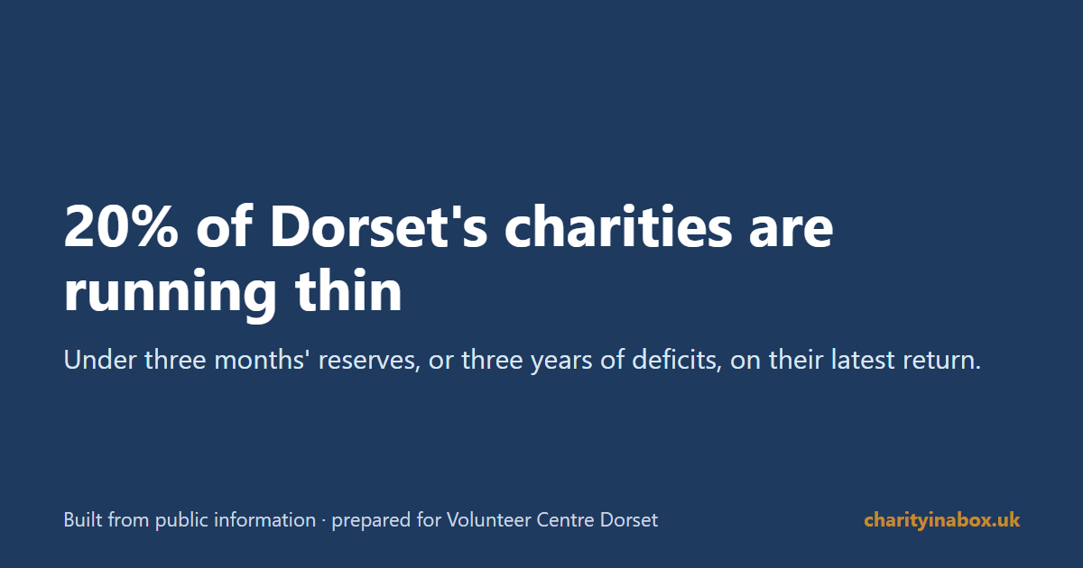 20% of Dorset's charities are running thin