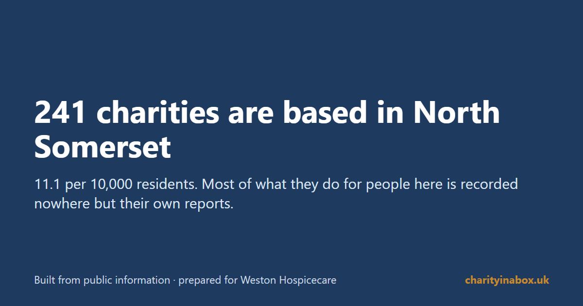 241 charities are based in North Somerset