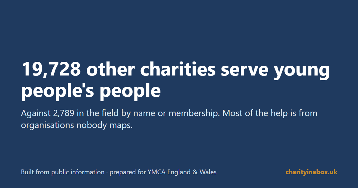19,728 other charities serve young people's people